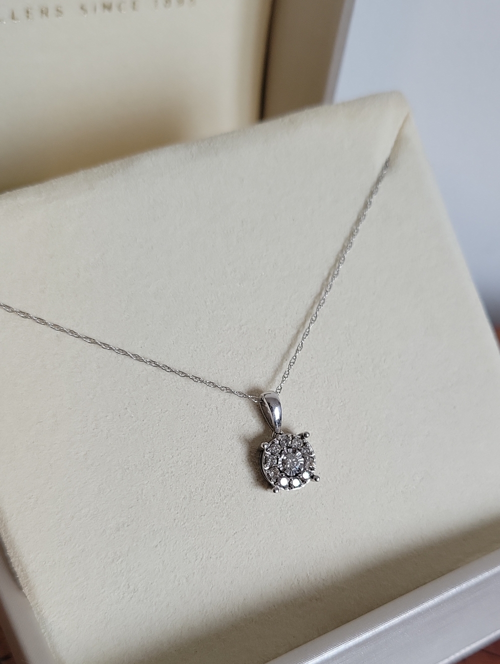 10k White Gold Necklace And Diamond Halo Pendant